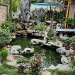 Thi công hoàn thiện Hồ Cái Koi Đức Quân
