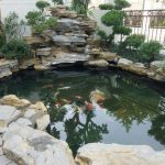 Cách thiết kế cấu trúc thuỷ sinh như thế nào để đảm bảo tốt nhất trong việc nuôi cá koi