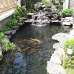 Hình ảnh hoàn thiện Hồ Cá Koi
