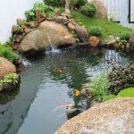 Hình ảnh hoàn thiện Hồ Cá Koi