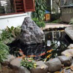 Hình ảnh hoàn thiện Hồ Cá Koi