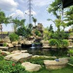 Hình ảnh hoàn thiện hồ cá koi