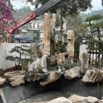 Hình ảnh hoàn thiện hồ cá koi