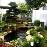 Hình ảnh hoàn thiện hồ cá koi